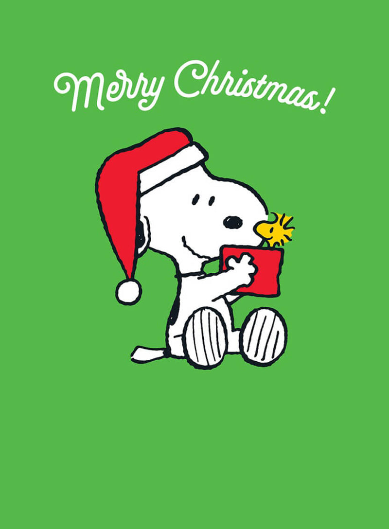 Snoopy Woodstock Christmas Card