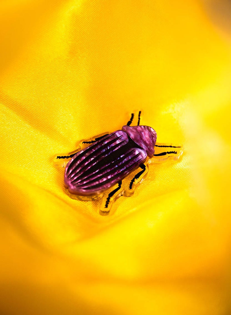 Tatty Devine Purple Jewel Beetle Brooch