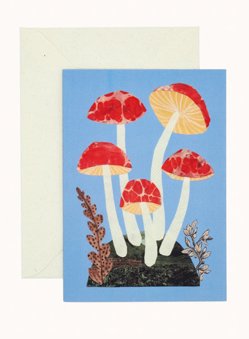Hadley Red and Blue Mushroom Card
