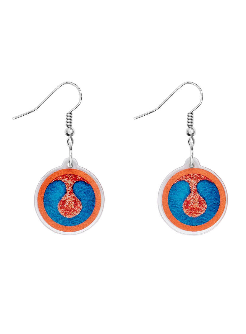 Wreaths To Pleasure Earrings