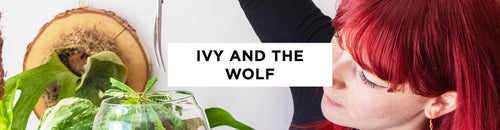 Women We Watch: Ivy And The Wolf
