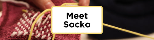 Meet Socko