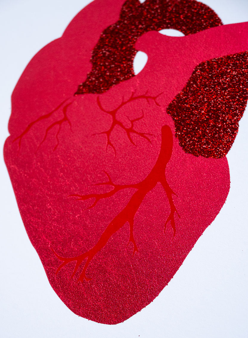 Anatomical Heart Art Print Model