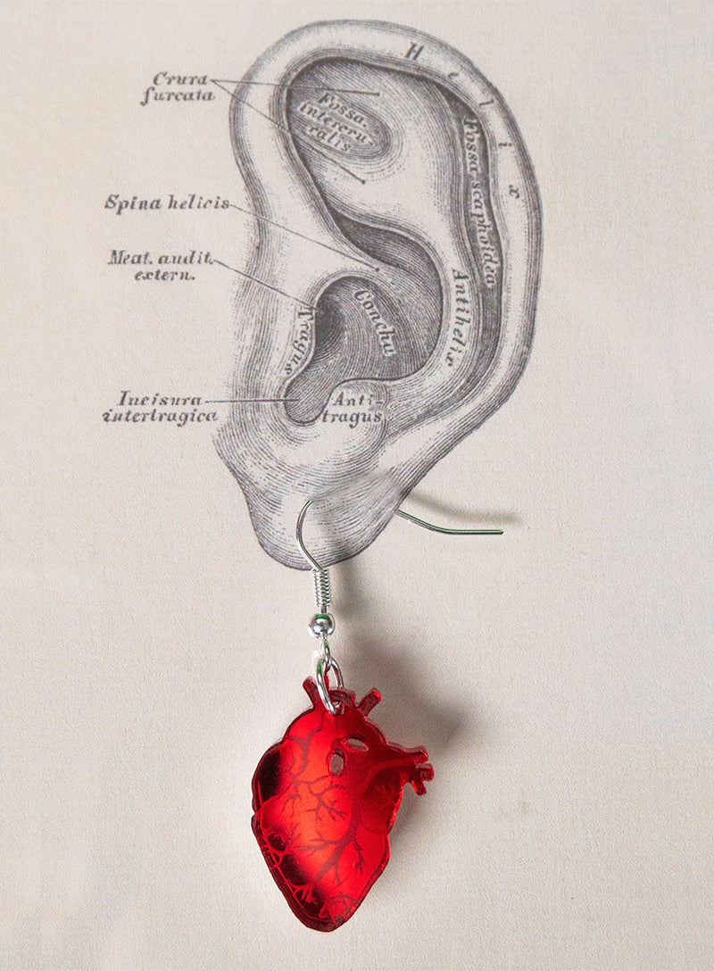 Anatomical Heart Earrings