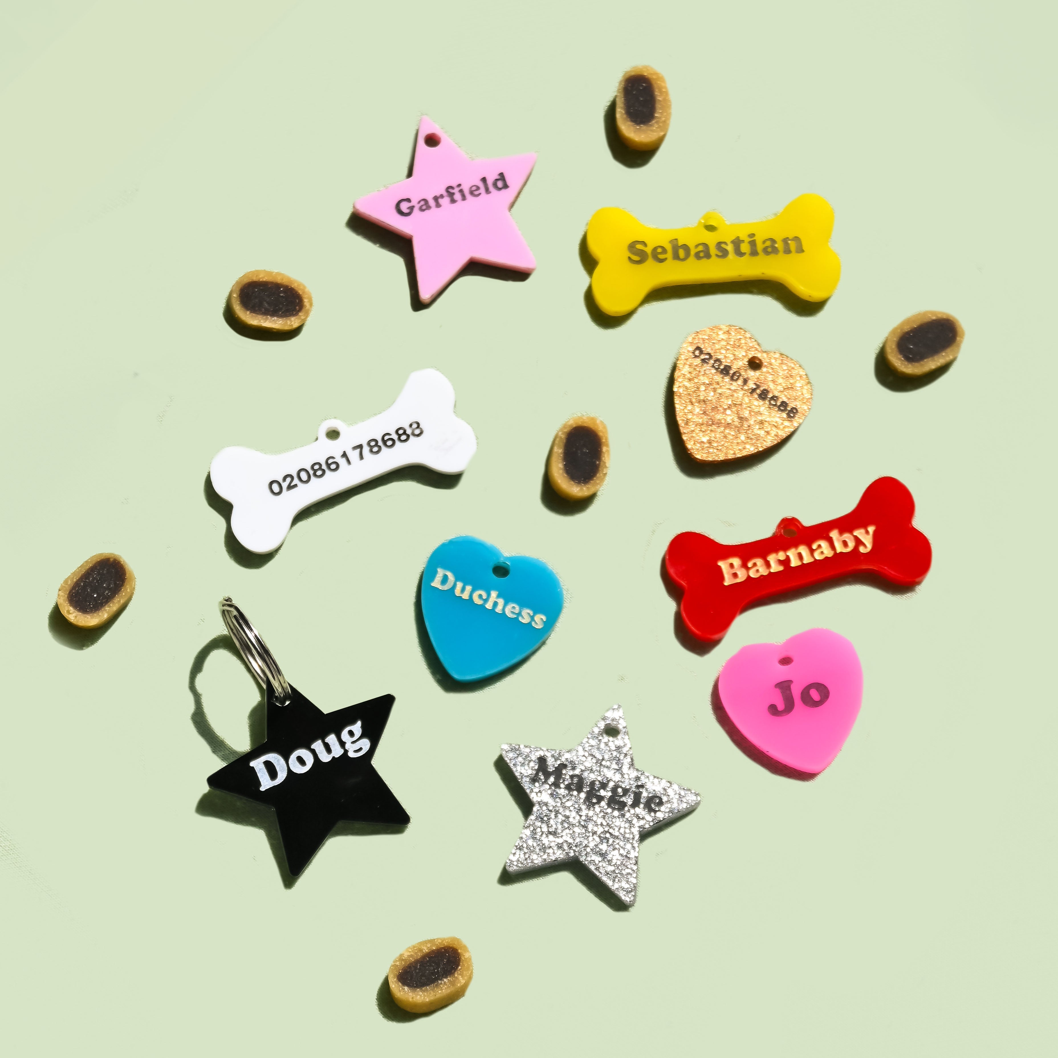 Collection of colorful pet tags with names on a light green background