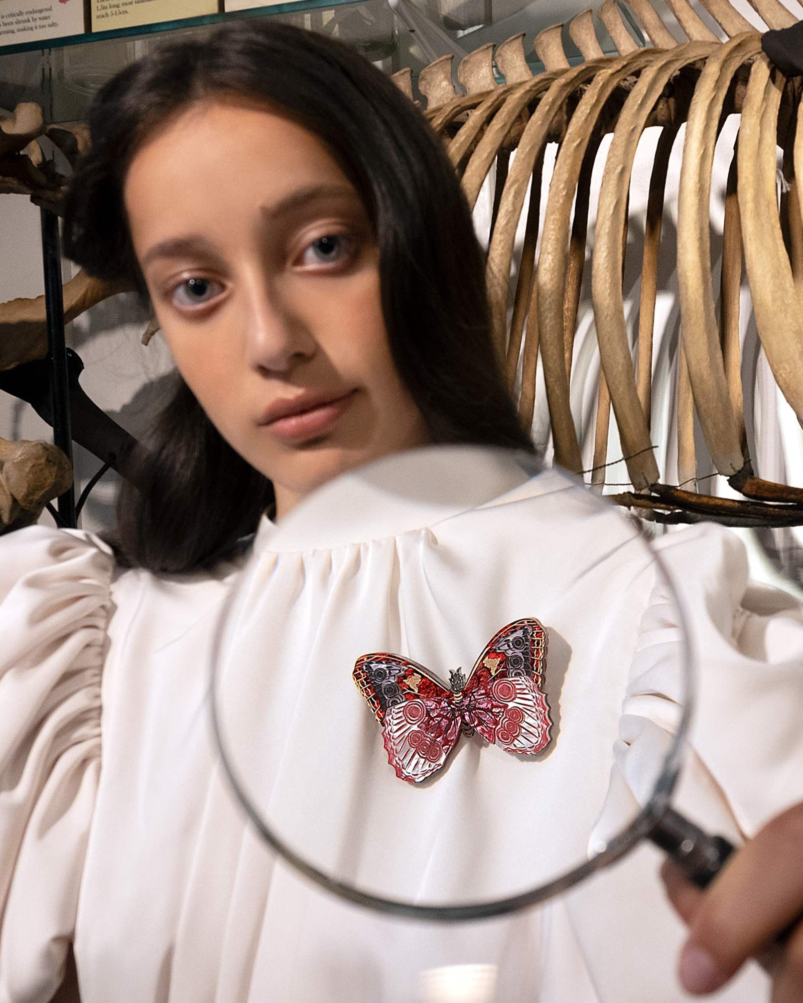 Tatty Devine Butterfly Collector Brooch