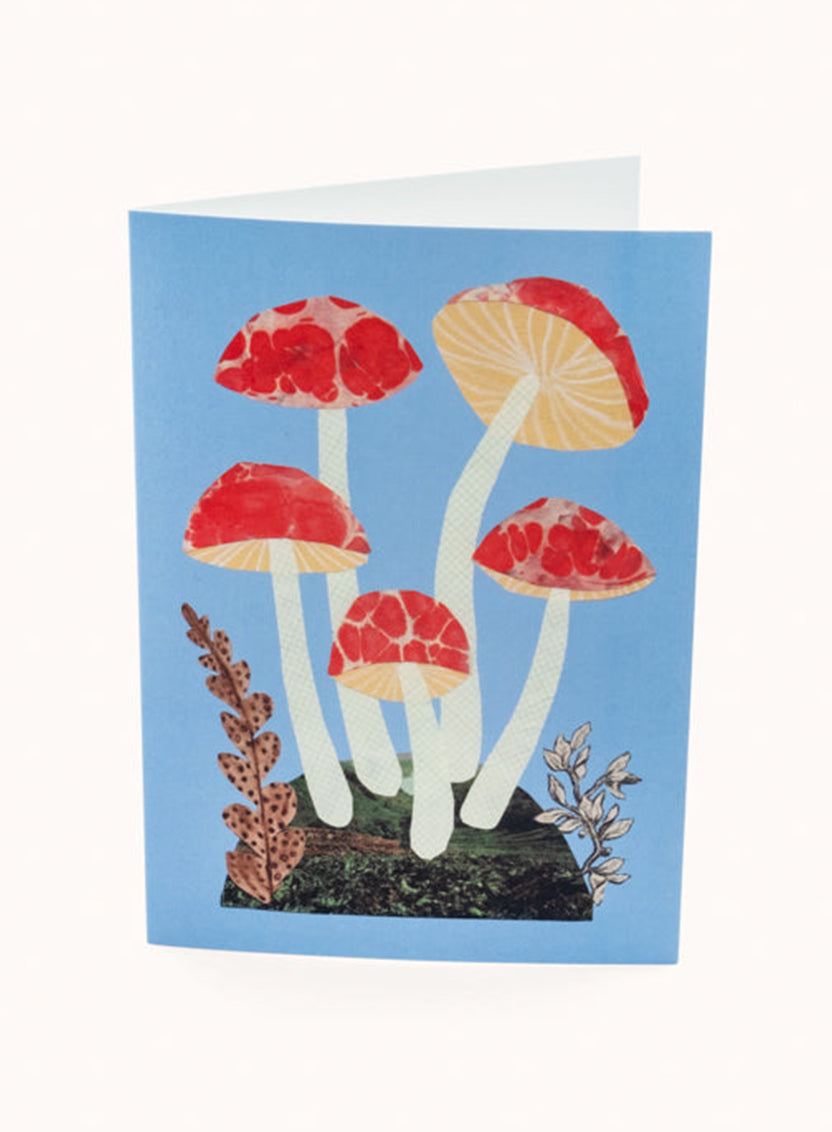Hadley Red and Blue Mushroom Card