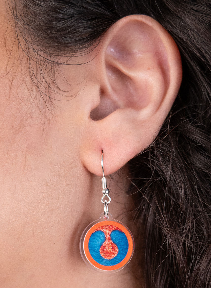 Wreaths To Pleasure Earrings